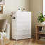 18 Pair Shoe Storage Cabinet-1450126704