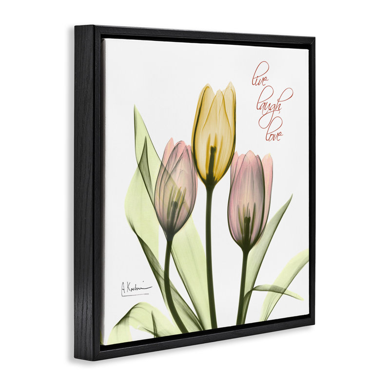«Live Laugh Love Tulips», art mural encadré flottant gris par Albert Koetsier, Cadre flottant noir de jais, H 18 po x l 18 po