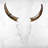 Bull Skull with Brown Horns - Western Framed Canvas Decor
