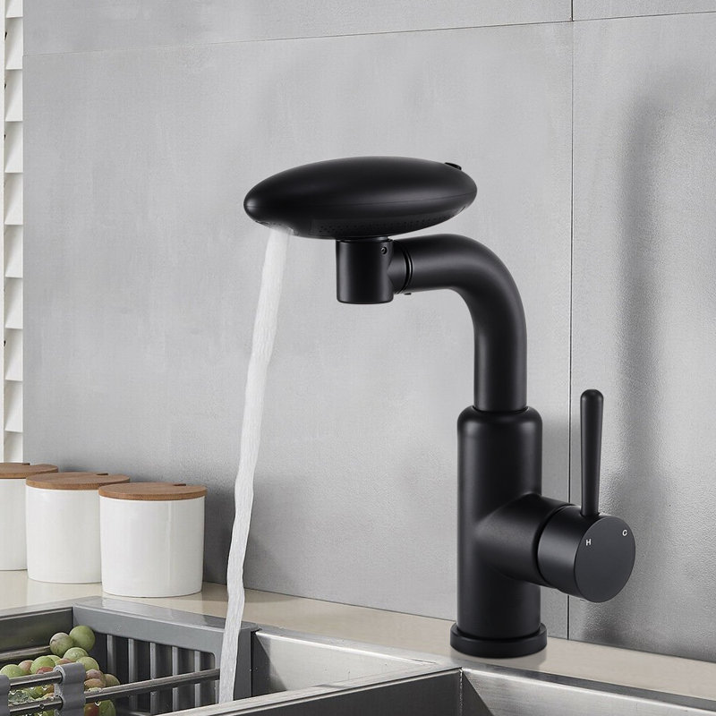 Belfry Kitchen Pull Out Kitchen Faucet