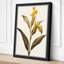 Golden Daffodil Study Botanical - Wrapped Canvas-1735652234-1735652235