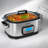 11-in-1 Multi Slow Cooker Roaster Oven, 6.5QT Silver Digital Programmable with Rack, Nonstick Crock, Glass Lid