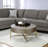 Light Brown & Champagne Finish Coffee Table