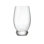 Ensemble de 6 verres à whisky 20,75 oz de qualité italienne Back Backle