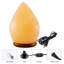 Lampe sel 5 lb Pasternak