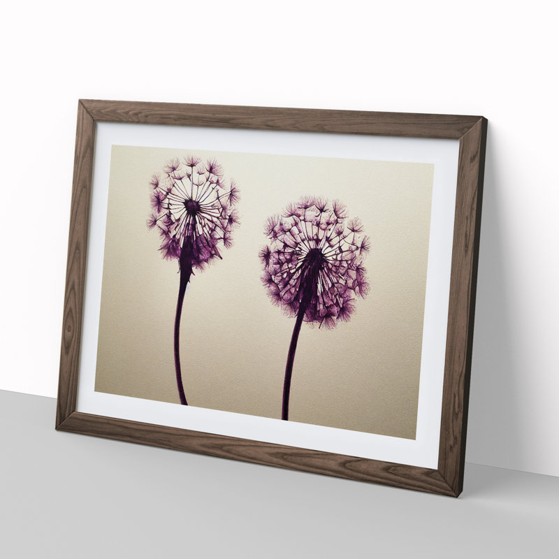 Dandelion Watercolour - Framed Print, 34cm H x 46cm W x 2cm D, Walnut