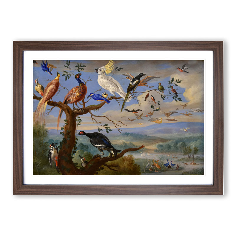 Exotic Birds by Jan Van Kessel - Framed Print, Walnut Framed, 36cm H x 48cm W x 2cm D