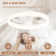 Ceiling Fans With Lights Remote Control, 6 Speeds And Dimmable Modern Smart Ceiling Fan Light