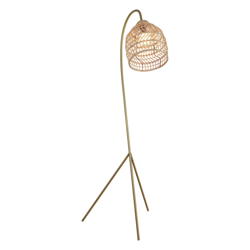 63.5'' Brass Arched Floor Lamp