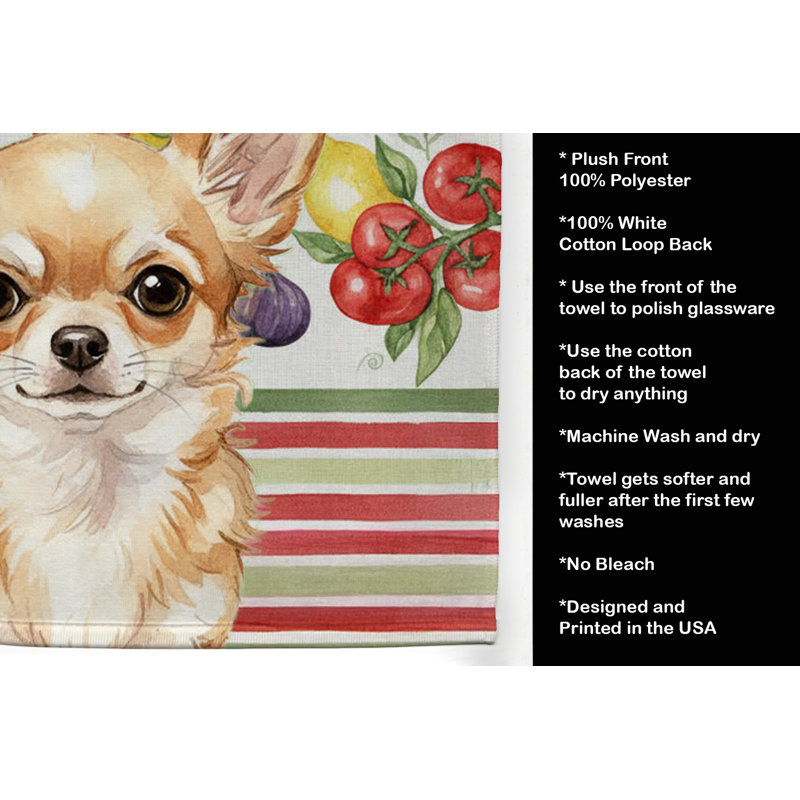 Torchon fauve Chihuahua, Fawn Chihuahua