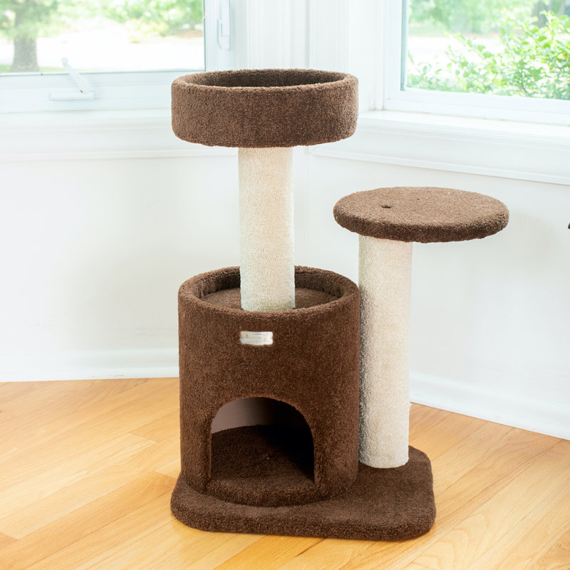 Arbre à chat 30 po en bois véritable de qualité supérieure