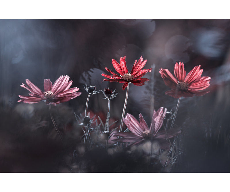Wrapped Canvas Print, 60.96 cm H x 91.44 cm W