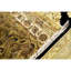 Oriental Area Rug