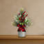 Arrangement de baies et de pin