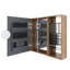 Armoire de salle de bain avec miroir et rangement