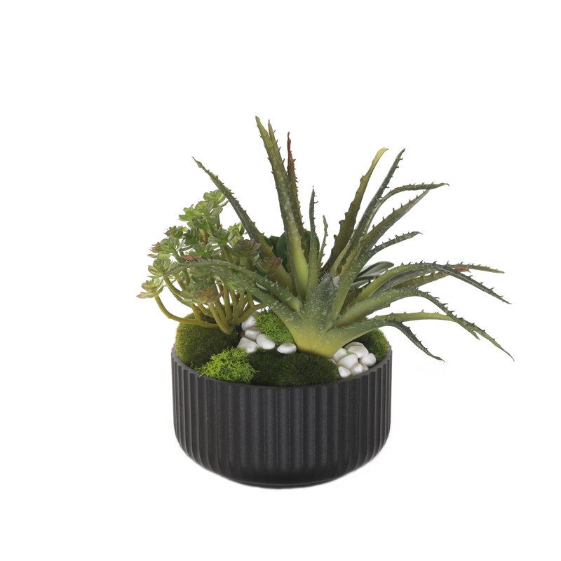 Faux Cactus Succulent in Pot
