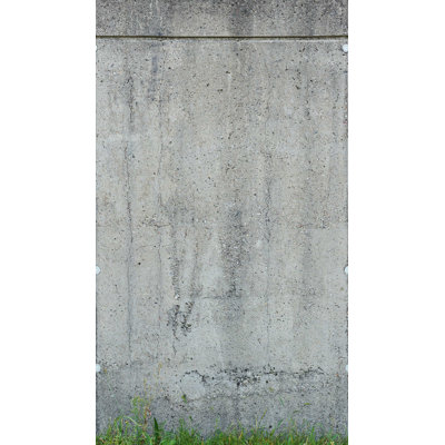 Non-Pasted Wall Mural