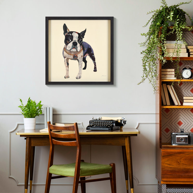 " Boston Terrier " by Alex Zeng