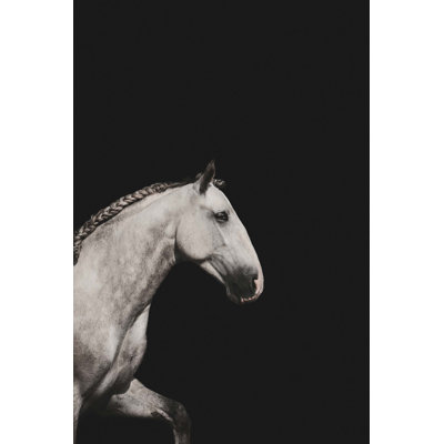 Equine Dream 2 - Wrapped Canvas Print