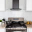 Hotte murale convertible 30 pouces 217 CFM en noir