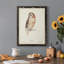 Toile encadrée de qualité supérieure Tawny Owl - prête à être accrochée-141755257-141755263
