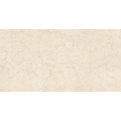 Grand carreau de mur et de plancher en porcelaine mat aspect marbre 24 x 48 po Regalia (15,5 pieds carrés / caisse, paquet de 2)
