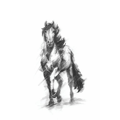 Équitation dynamique I