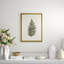 Pressed Fern II Framed Graphic Art