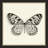 " Butterfly V BW "