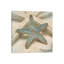 John Seba - Print on Canvas-101342340-69399044
