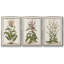 Munting Botanicals I 3 pièces-97709177-97709183