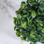 Topiaire buis ball plante