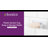 Plastic Suction Cup Soap or Sponge Dish - Basics by Wayfair™