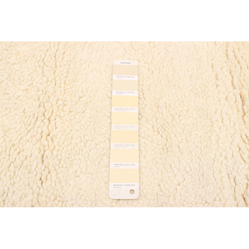 Tangier Cream Rug 6'2" x 8'7"