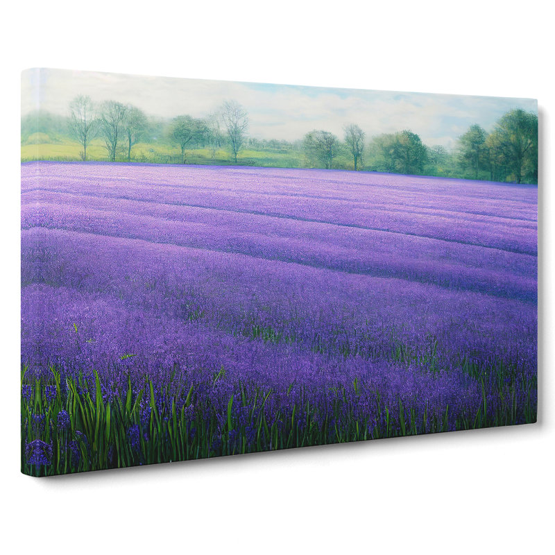 Radiant Bluebell Field - Wrapped Canvas, 40cm H x 60cm W x 3cm D