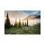 Rainier Wildflowerws by Dennis Frates - Print on Canvas-486719298-486719301