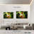 Brampt Tree Frog-108061287