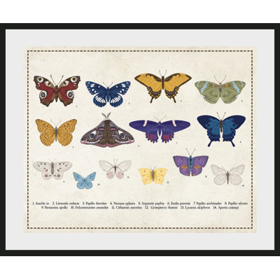 Butterfly - Single Picture Frame Print