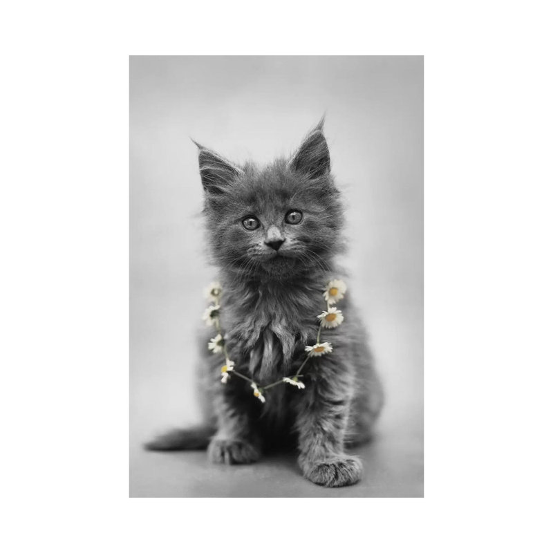 Lara 1 Piece Wall Art on Canvas, 20.32 cm H x 30.48 cm W, Wrapped Canvas