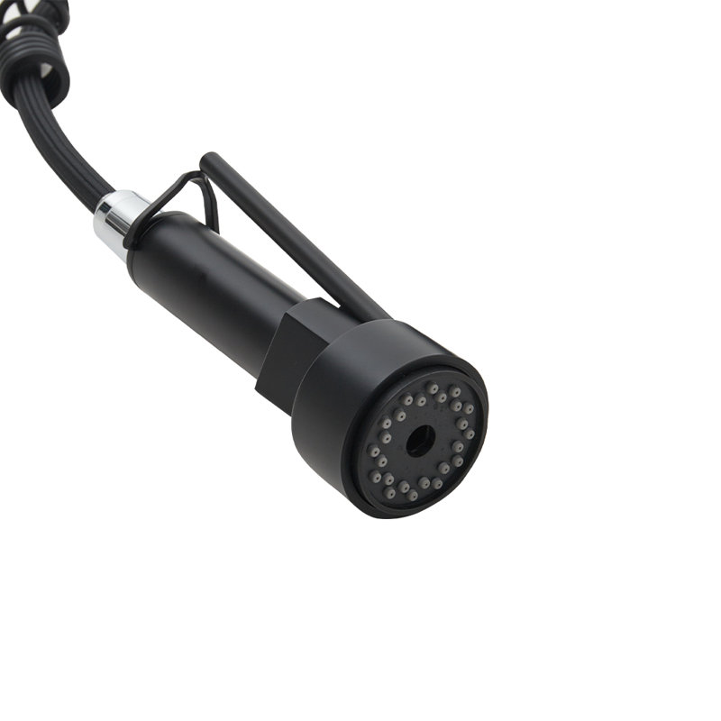Belfry Kitchen Lippencott Pull Down Kitchen Faucet, Black