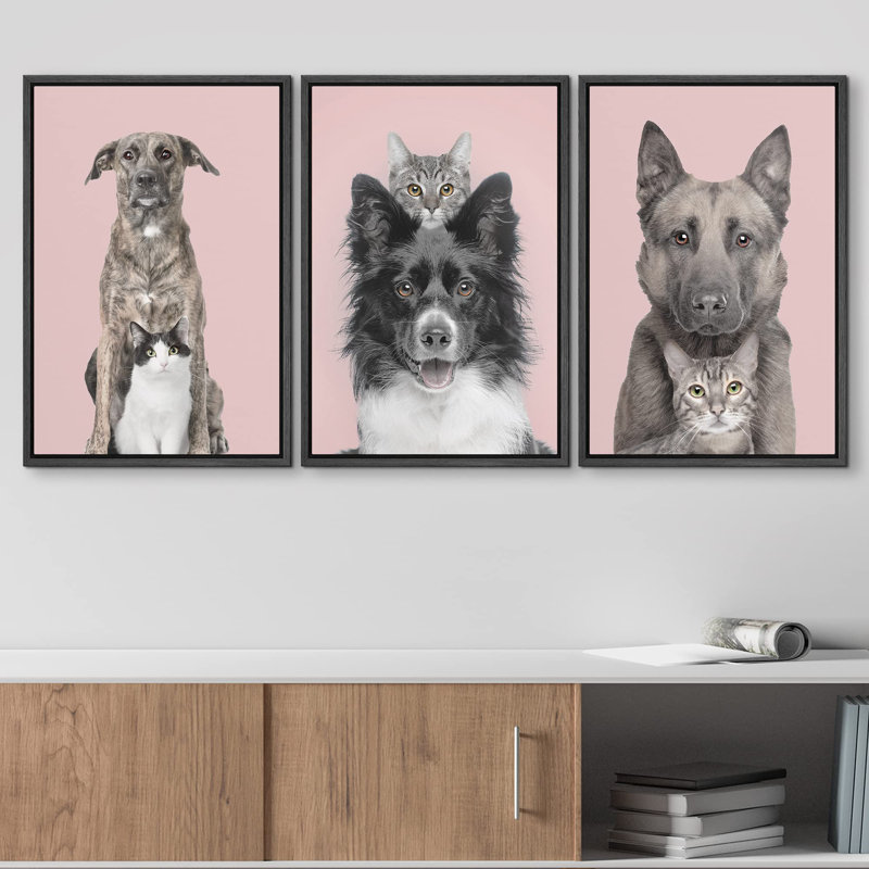 Animaux, bichromie pastel, rose, chat, chat, animaux, photographie de la nature, art moderne, décor rustique