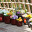Pot de fleurs-1079092000