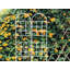 1Set treillis de jardin en métal pour plantes grimpantes Support de plante extérieur antirouille - Articles en céramique-118741349