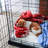Cordian P-Tex Polypropylene Pet Crate Floor Protection Mat-48955218