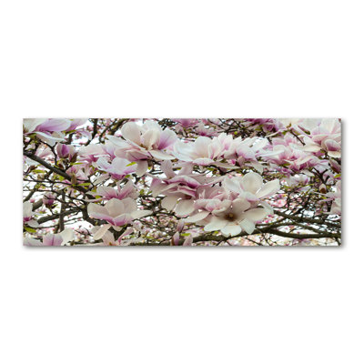 Magnolia Flowers - Wrapped Canvas Print