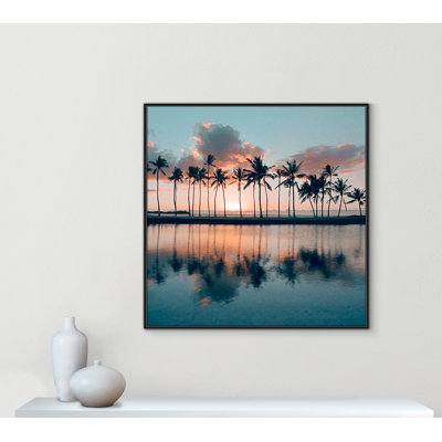 «Big Island Palms» par Danita Delimont