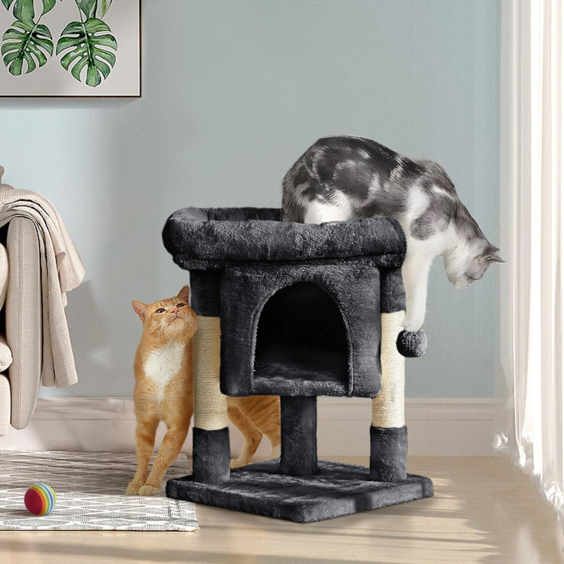 Chat pour chat avec poteaux à griffer recouverts de sisal, Noir