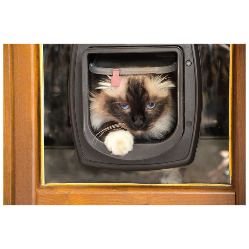 Pet Flap, Brown