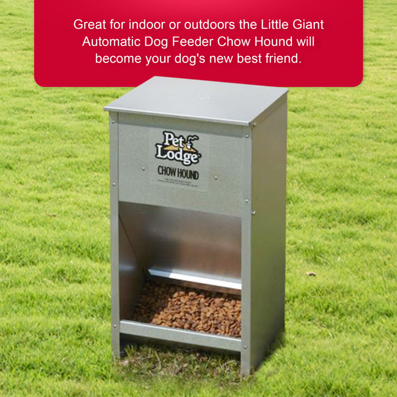 Pet Lodge Galvanized Steel Automatic Dog Feeder, 25 lb Capacity