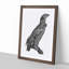 Spotted Eagle Illustration - Framed Print-55729842-55729844
